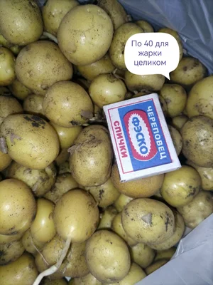 Кабачки маленькие