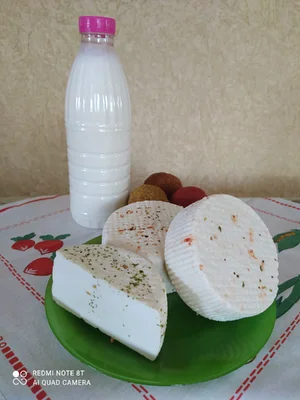 Молоко от домашних козочек