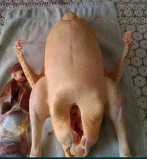 Утка