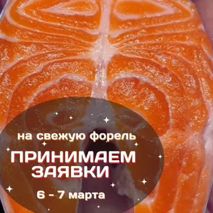 ФОРЕЛЬ ОХЛАЖДЕННАЯ НЕПОТРОШЁНАЯ