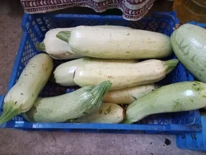 Кабачки
