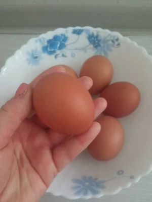 Домашние яйца