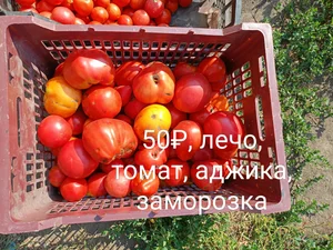 Помидоры