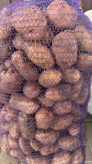 Картофель