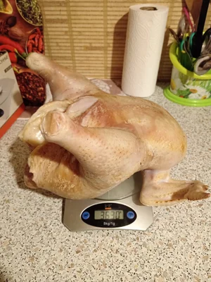 Яйцо