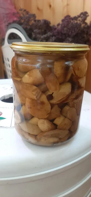 Маринованные маслята