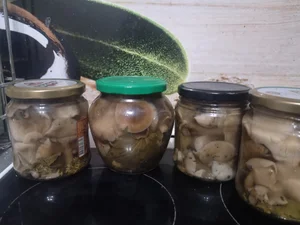 Опята осенние маринованные