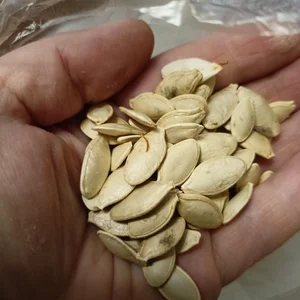Тыквенные семечки