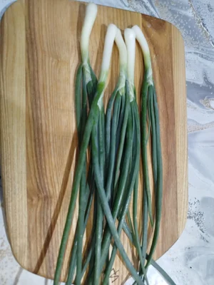 Бройлеры