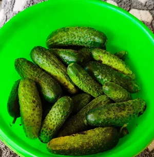 Перец сладкий