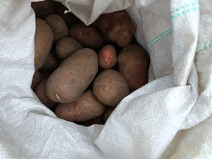Картофель