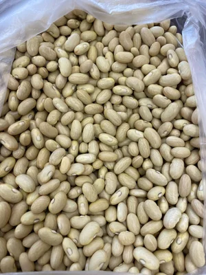 Кабачки