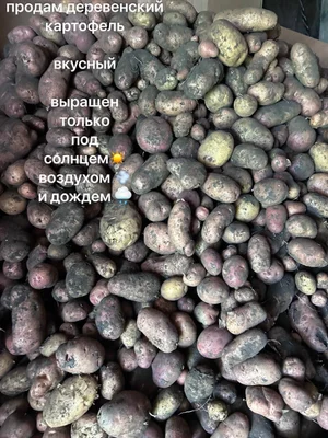 Деревенский картофель