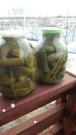Бочковые огурчики