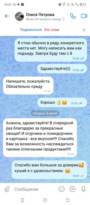 Огурцы
