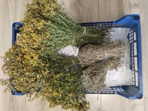 Душица