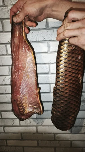 Карась