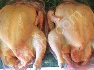 Курица бройлер