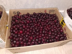 Вишня
