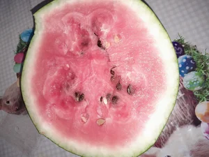 Лук