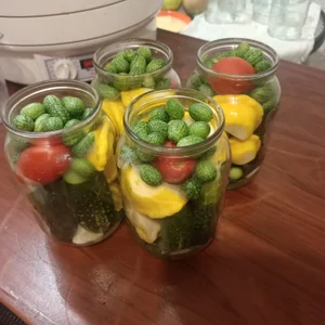 Мелотрия (арбузный огурец, cucamelon)