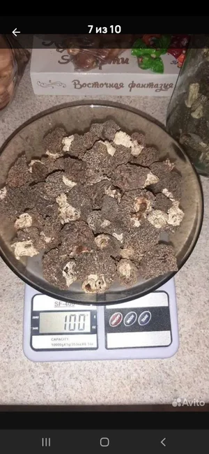 Соленые грузди