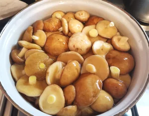 Маринованные маслята