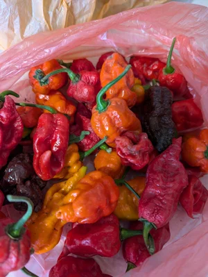 Перец Bhutlah Chocolate