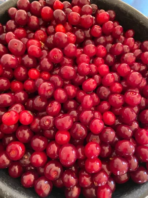 Вишни