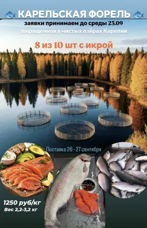 Форель охлажденная непотрошеная