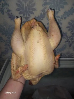 Утка белая