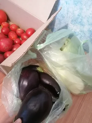 Помидоры