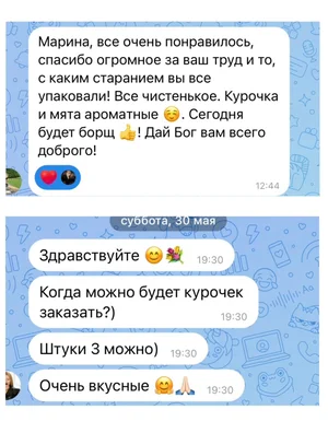 Курица