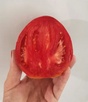 Картофель молодой