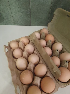 Куриные яйца