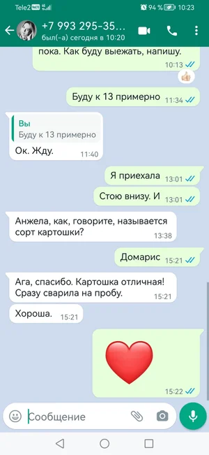 Картофель