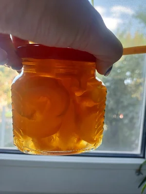 Вяленые помидоры и сливы в ароматном масле