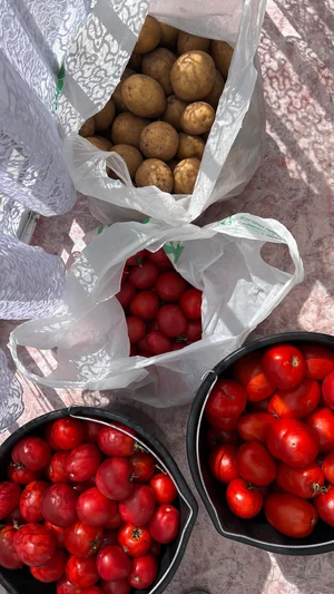 Помидоры