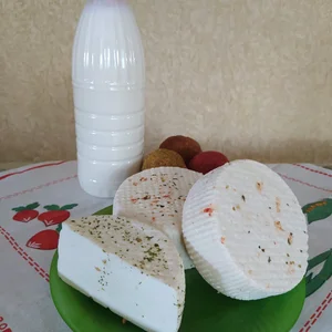 Яйцо домашнее