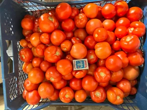 Розовый крупный помидор