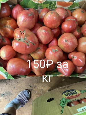 Помидоры