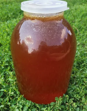 Картофель