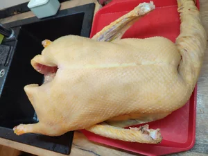 Гусь