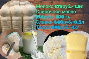 Сыр
