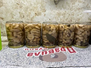 Маслята маринованные