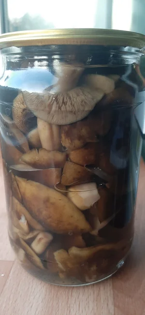 Соленые грузди
