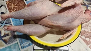 БУЛЬОННЫЕ ПЕТУШКИ