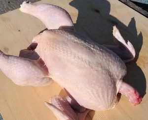 Тушки бройлера