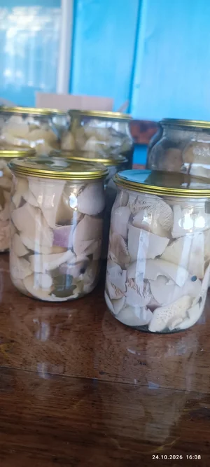 Грузди маринованные