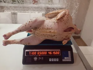 Индейка